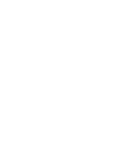Hollyland
