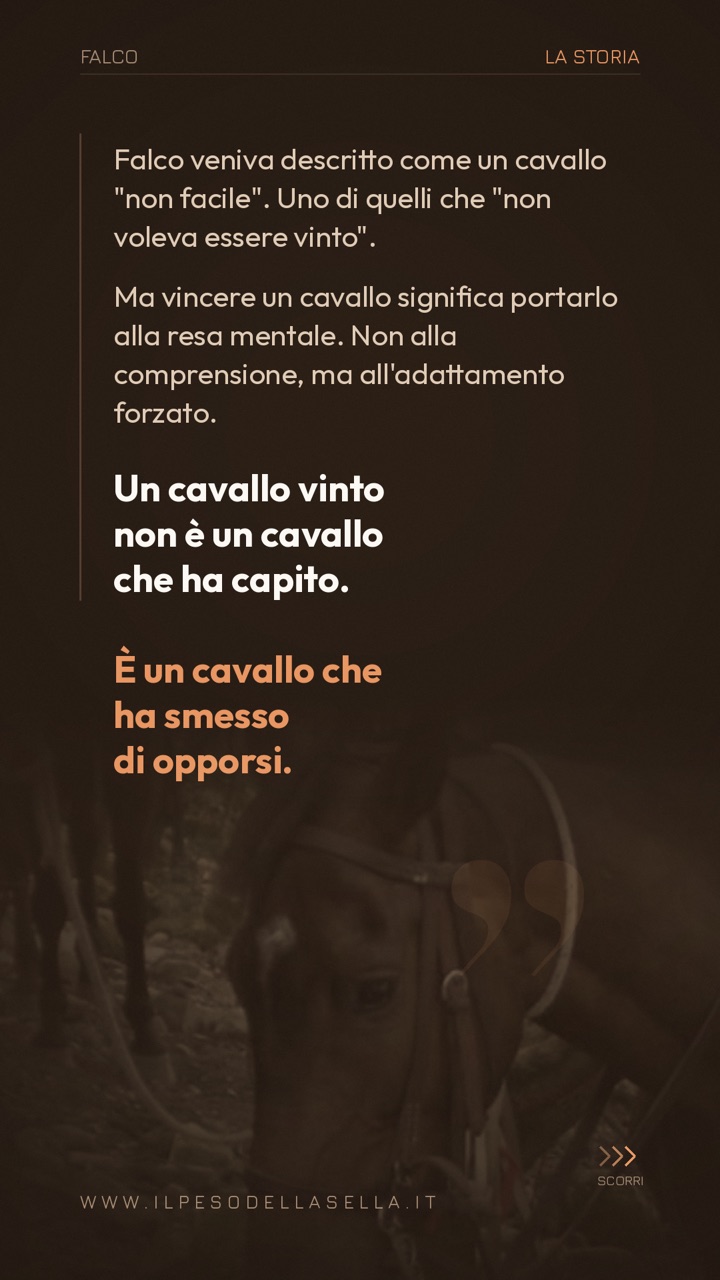 Falco: la storia