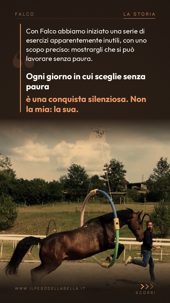 Falco: la rinascita
