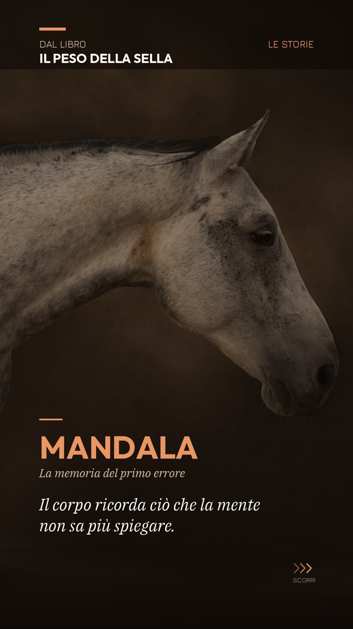 Mandala: la frase del libro